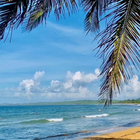 Beachbums Hideaway Luquillo Εξωτερικό φωτογραφία